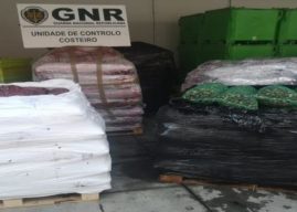 GNR – Matosinhos – Apreensão de mais de 7 500 quilos de amêijoa-japonesa