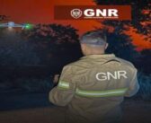 GNR – Dia Internacional para a Segurança em Passagens de Nível!