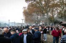 Magusto Municipal vai decorrer a 9 de novembro