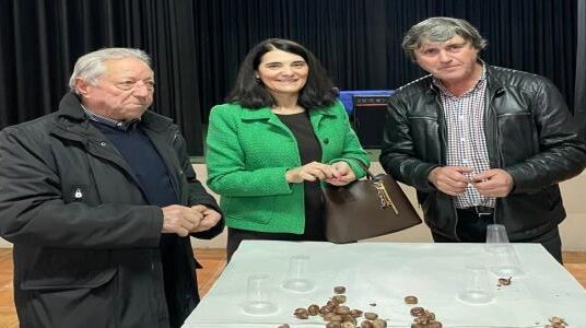 Magusto da Casa do Povo do Rio Vizela