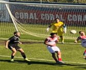 Muita parra e pouca uva – assim não vai lá!