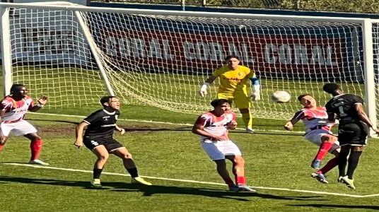 Muita parra e pouca uva – assim não vai lá!