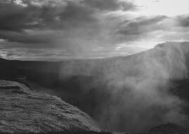 Santo Tirso recebe exposição interativa Prosthetic Feedback