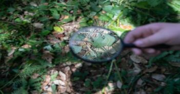 Rota da Sustentabilidade chegou a 1250 alunos do 1.º ciclo.