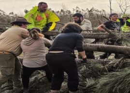 Escoteiros de Santo Tirso prestam apoio solidário em Leiria.