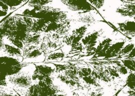 Centro de Arte Alberto Carneiro inaugura exposição do artista de Velasco!