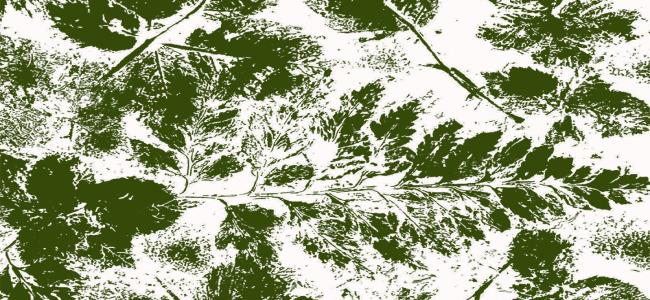 Centro de Arte Alberto Carneiro inaugura exposição do artista de Velasco!