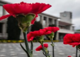 Município celebra 25 de abril com atividades para toda a comunidade!