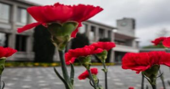 Município celebra 25 de abril com atividades para toda a comunidade!