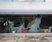 Clínica Veterinária do Ave recebe próxima edição do programa rondas!