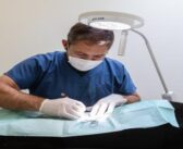 Câmara de Santo Tirso lança campanha gratuita de esterilização de animais!