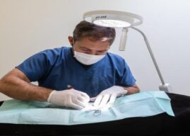 Câmara de Santo Tirso lança campanha gratuita de esterilização de animais!